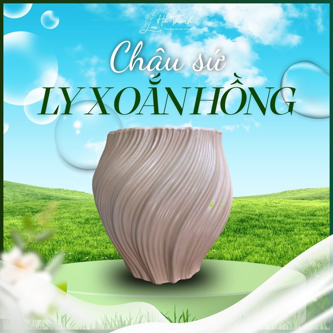 Chậu Sứ Ly Xoắn Hồng&nbsp;